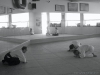 dscn1361