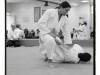 aikido_4