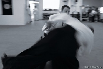 img_7260