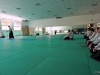 01_stagenazaikido_13-14_giu_2009_phgoina