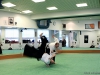 15_aikiseishin_2010-02-07